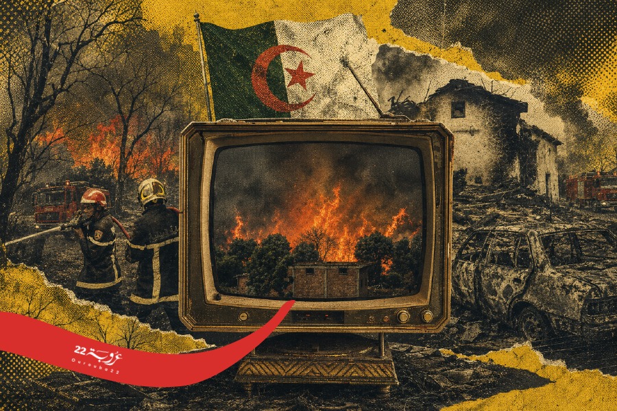عندما تحترق الغابة: لماذا تتجلى إنسانيتنا في الكوارث فقط؟