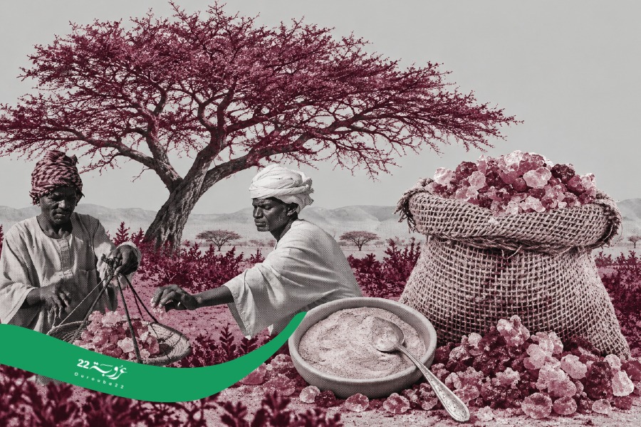 الصّمغ العربي!
ثروة كامنة يمكنها مكافحة التصحّر وتوسيع الصناعات الدوائية والغذائية!