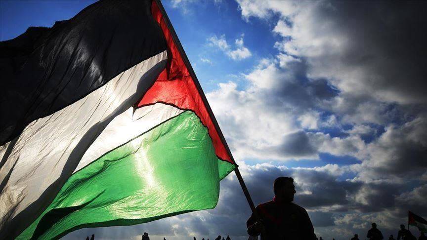 العالم لن يحارب دفاعًا عن فلسطين