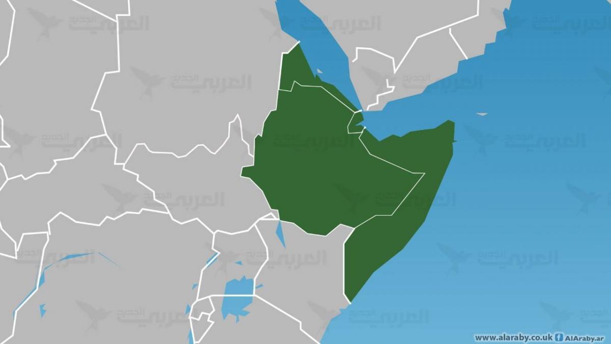 القرن الإفريقي .. اهتمام مصري في مكانه الصحيح