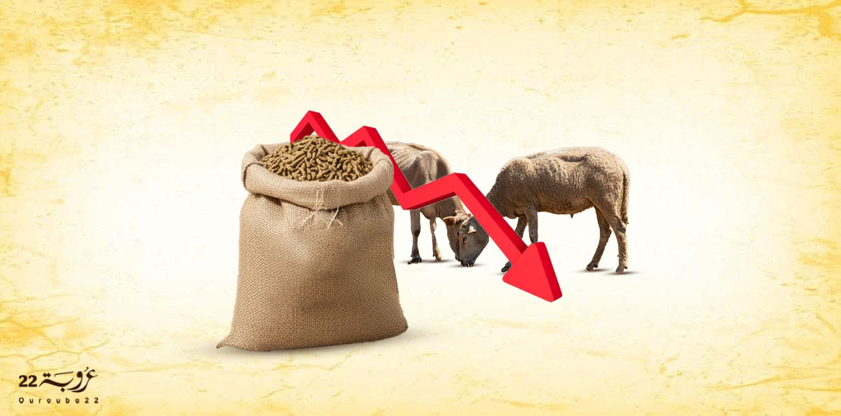 التَّكامُلُ العَرَبيُّ في مَجالِ الثَّرْوَةِ الحَيَوانِيَّة! 
كَيْفَ يُـمْكِنُ تَحْقيقُ الاكْتِفاءِ الذّاتيّ وَتَقْليصُ الاسْتيراد؟