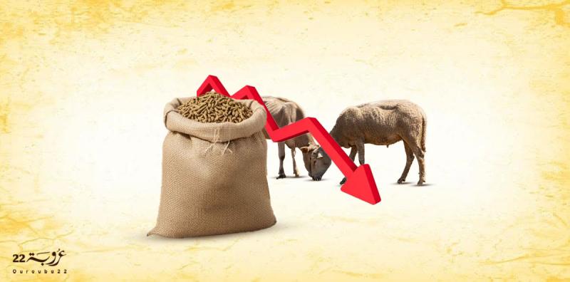 التَّكامُلُ العَرَبيُّ في مَجالِ الثَّرْوَةِ الحَيَوانِيَّة! 
كَيْفَ يُـمْكِنُ تَحْقيقُ الاكْتِفاءِ الذّاتيّ وَتَقْليصُ الاسْتيراد؟