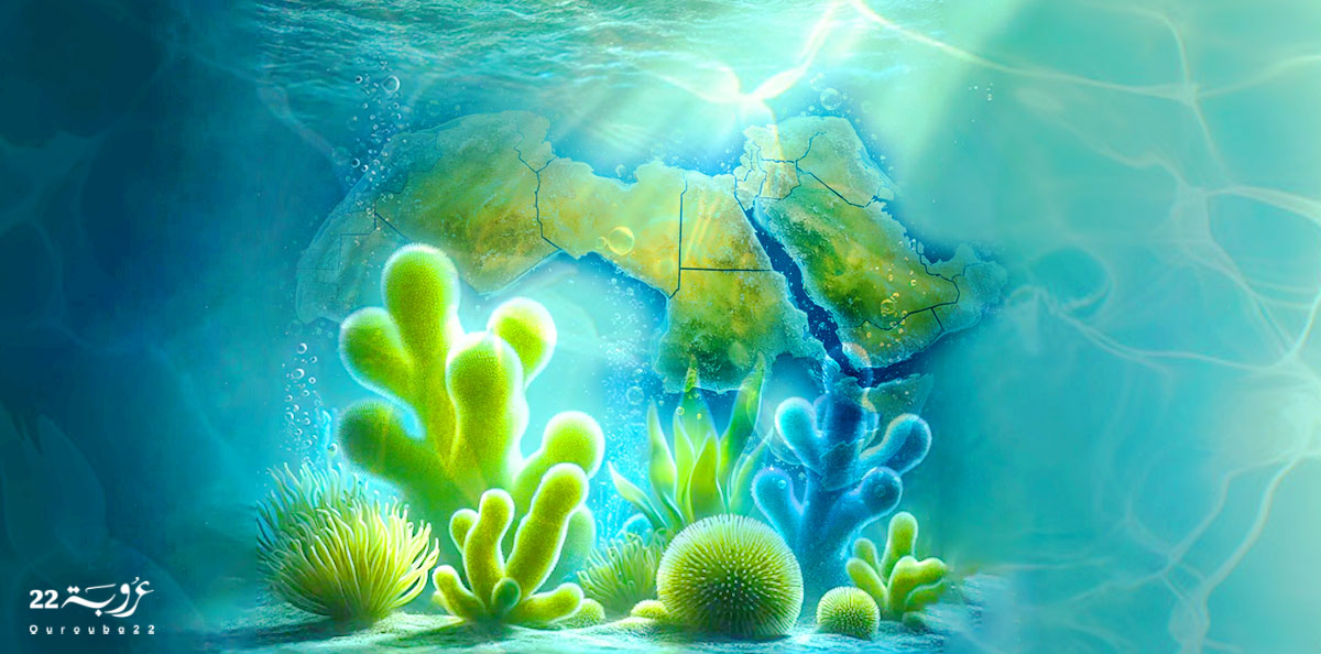 الطَّحالِبُ المائِيَّة.. كَنْزُ العَرَبِ المَغْمور!
مِنَ الغِذاءِ وَالأَسْمِدَة إلى الدَّواءِ وَالوَقود