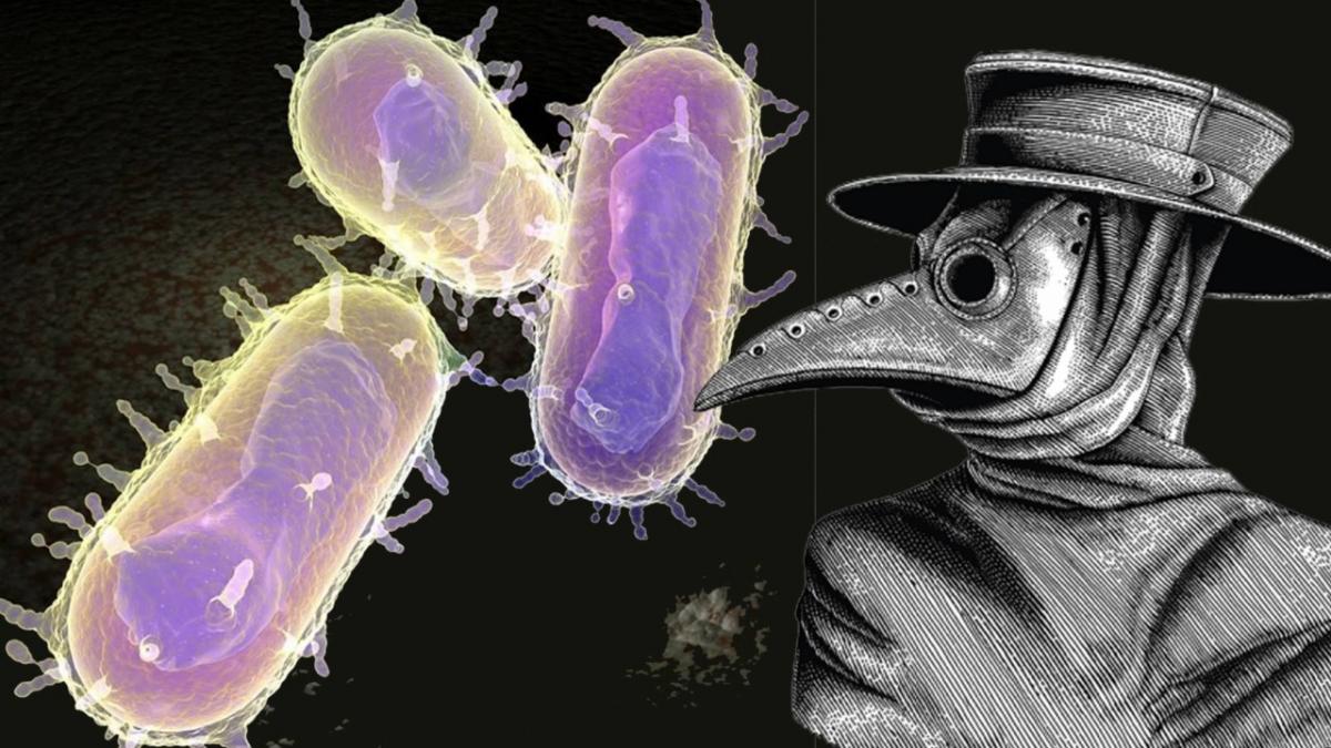 لغز تفشي الطاعون: هذا ما اكتشفه العلماء!