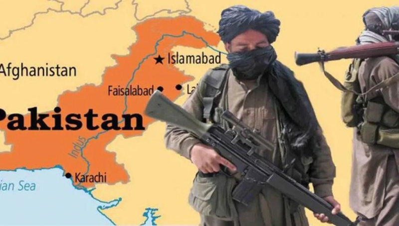 اقتصاد ومعادن وعلاقات دولية... 