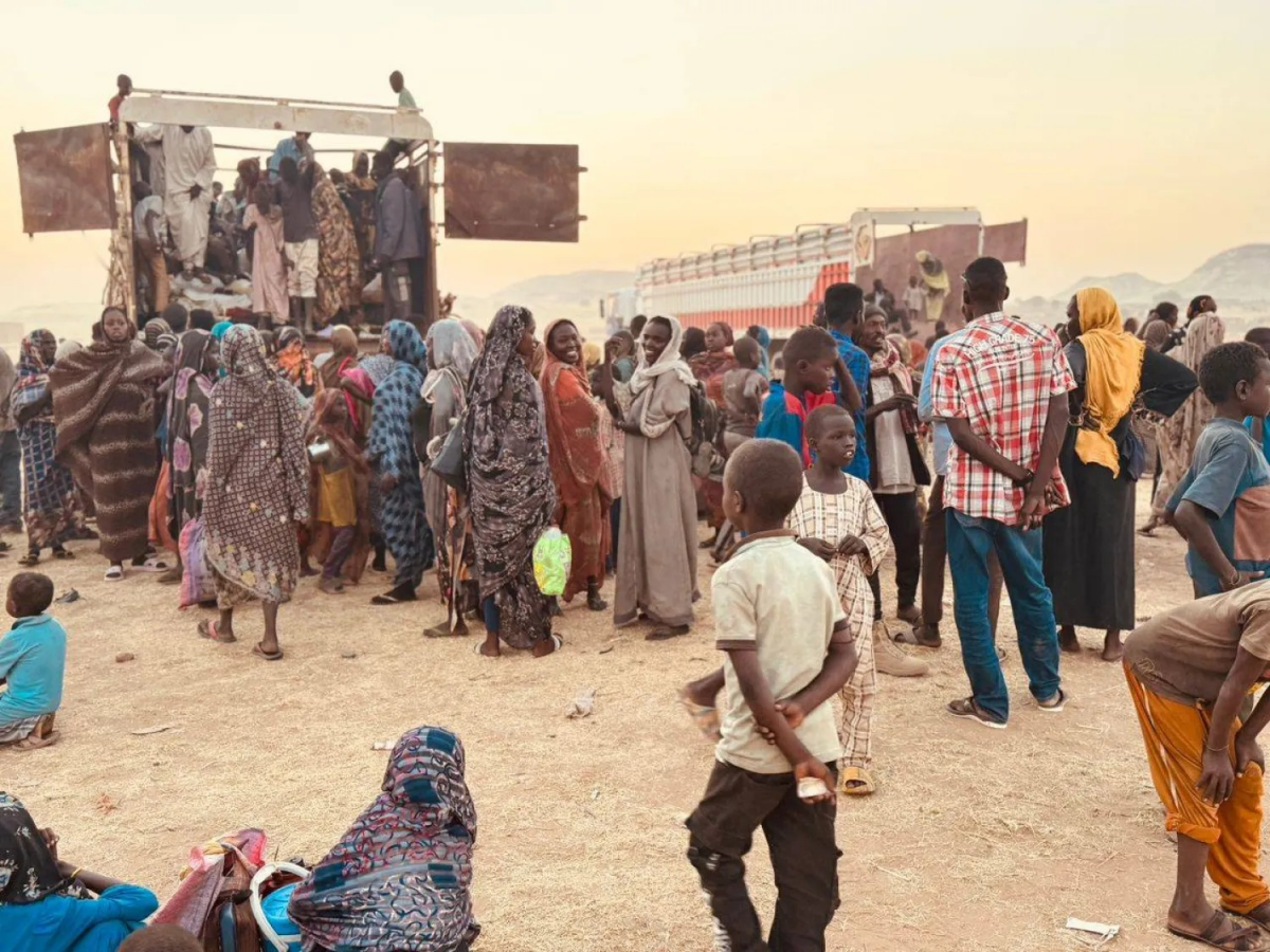 أشواك الفاشر