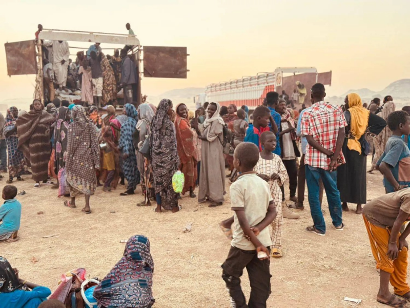 أشواك الفاشر