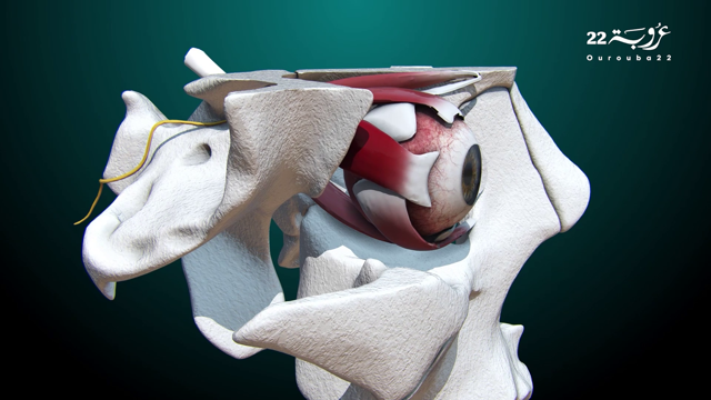 علاجات العمى.. 