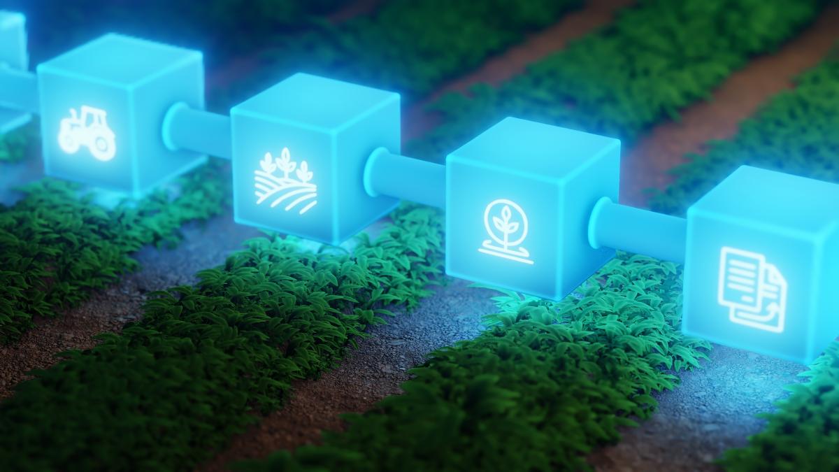 إعداد: عبد الرحمن أياس - تقديم: سحر الزرزور