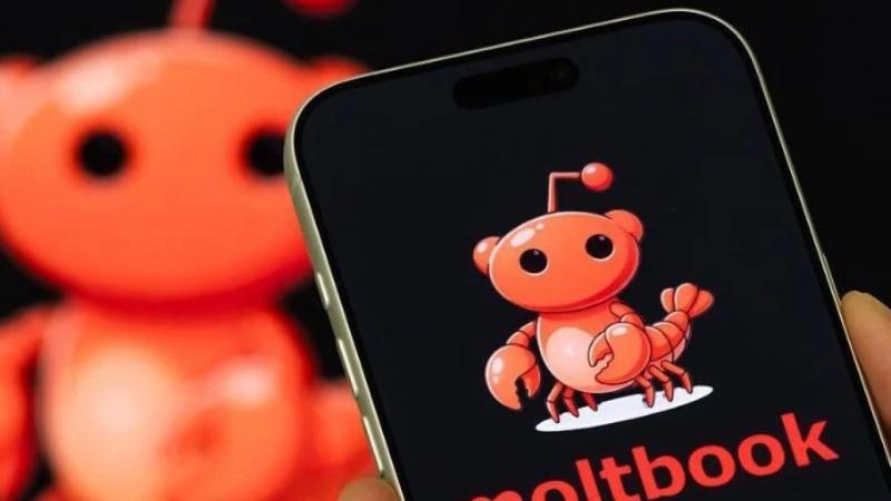 روبوتات تتآمر على البشر: التطهير الشامل! 
هل ترسم 