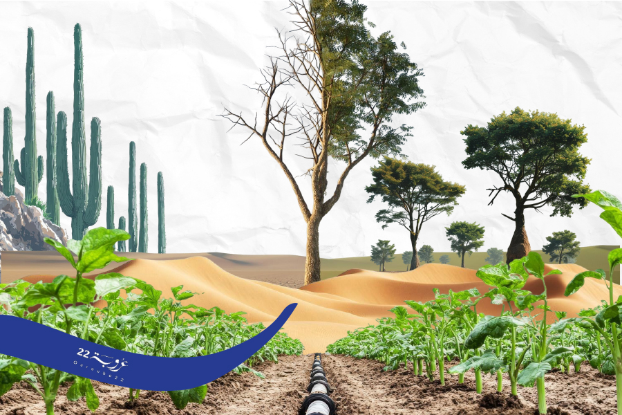 كَيْفَ يُـمكِنُ تَحْويلُ الصَّحاري العَرَبِيَّةِ الْقاحِلَةِ إلى غاباتٍ وارِفَة؟ 
لِتَقْليلِ فاتورَةِ اسْتيرادِ الأَخْشابِ وَحِمايَةِ البيئَة