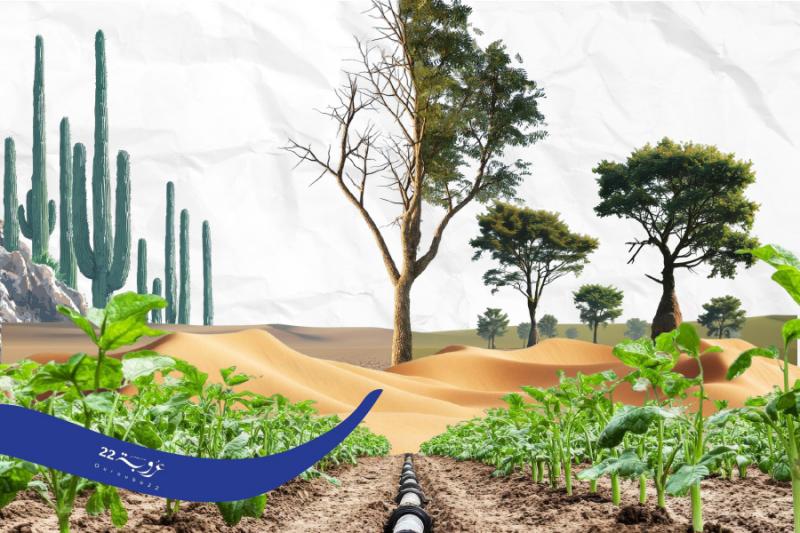 كَيْفَ يُـمكِنُ تَحْويلُ الصَّحاري العَرَبِيَّةِ الْقاحِلَةِ إلى غاباتٍ وارِفَة؟ 
لِتَقْليلِ فاتورَةِ اسْتيرادِ الأَخْشابِ وَحِمايَةِ البيئَة