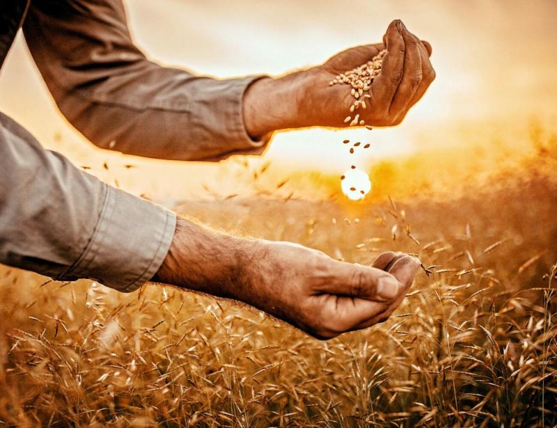 الأمن الغذائي العربي… تحديات وابتكارات!