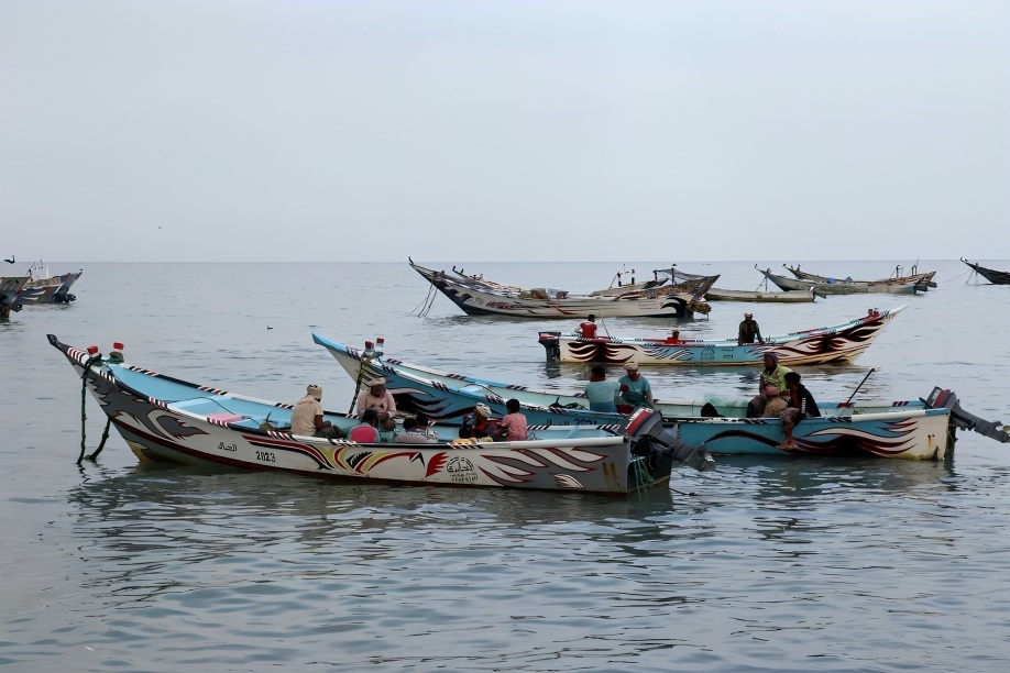 قطاع الأسماك في اليمن: تراجُع الإنتاج والاستهلاك!