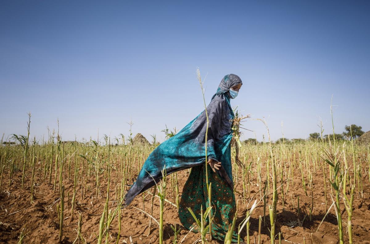 الأمن الغذائي والاجتماعي: حين تدفع المرأة الثمن!